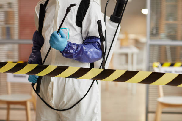 Professional Hoarding Cleanup technician working in Sheridan, MI